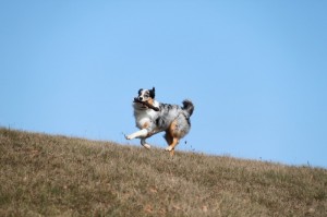 4131735466_bbaac510a6_o