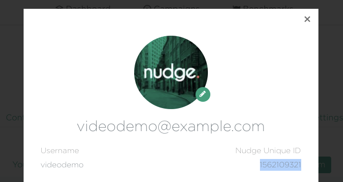 Screenshot of profile age in Nudge dashboard